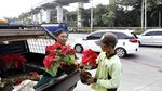 Begini Lho Proses Perawatan Tanaman di Jalanan Jakarta