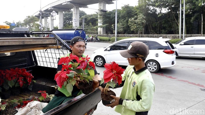 Perawatan tanaman di jalanan kota Jakarta dilakukan secara berkala. Hal itu dilakukan untuk menjaga estetika di kawasan ibu kota.