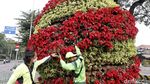Begini Lho Proses Perawatan Tanaman di Jalanan Jakarta
