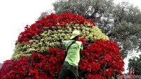 Petugas melakukan perawatan tanaman di kawasan Mayjen Sutoyo, Cawang, Jakarta Timur, Selasa (28/06/2022).
