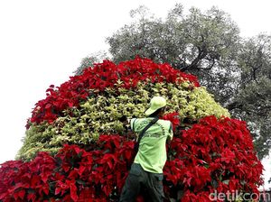 Begini Lho Proses Perawatan Tanaman di Jalanan Jakarta