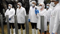 Budi Waseso mengatakan tim nya telah memeriksa langsung proses penelusuran dan pemotongan dan transportasi produksi hewan ternak di India. Tim telah melakukan inspeksi dari tahap peternak hingga rumah produksi di daerah yang dipilih secara acak untuk memeriksa prosedur  yang dilaksanakan oleh pemasok daging beku.