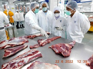 Bulog Pastikan Daging Kerbau Impor dari India Bebas PMK, Ini Buktinya