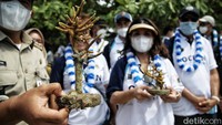 Penanaman terumbu karang ini dilakukan oleh Indonesian National Shipowners Association (INSA).