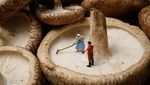 Keren! Pria Ini Ubah Makanan Jadi Dunia Kecil Penuh Cerita