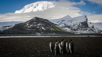 Pulau Heard, Australia: Pulau Heard letaknya terpencil dan menjadi habitat penguin, burung laut, anjing laut dan lain-lain. Ada gunung berapi aktif di sini, lapisan gletser dan aliran lava sehingga sangat tidak ramah bagi manusia. Anginnya pun sangat kencang. Maka pemerintah Australia membatasi orang yang ingin menyambanginya. (Foto: ABC).