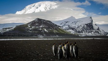 Berada di sebuah pulau terpencil dan liar, Anda harus sangat siaga terhadap potensi bahaya dan mungkin Anda tidak bisa diselamatkan jika terjadi sesuatu yang buruk, kata Doug Throst dari Australian Antartic Division yang pernah dua kali mengunjunginya. Foto: ABC