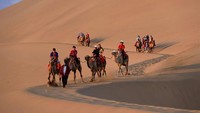 Unta yang digunakan berbeda dengan yang di Arab Saudi. Unta di gurun China ini adalah unta Mongolia yang mempunyai dua punuk sedangkan di Arab hanya ada satu.    