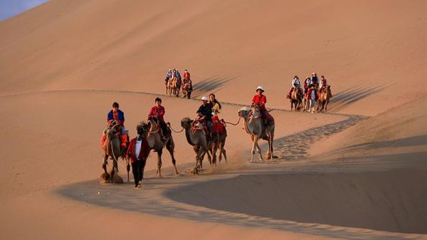 Unta yang digunakan berbeda dengan yang di Arab Saudi. Unta di gurun China ini adalah unta Mongolia yang mempunyai dua punuk sedangkan di Arab hanya ada satu.   Unta yang digunakan berbeda dengan yang di Arab Saudi. Unta di gurun China ini adalah unta Mongolia yang mempunyai dua punuk sedangkan di Arab hanya ada satu.  Â