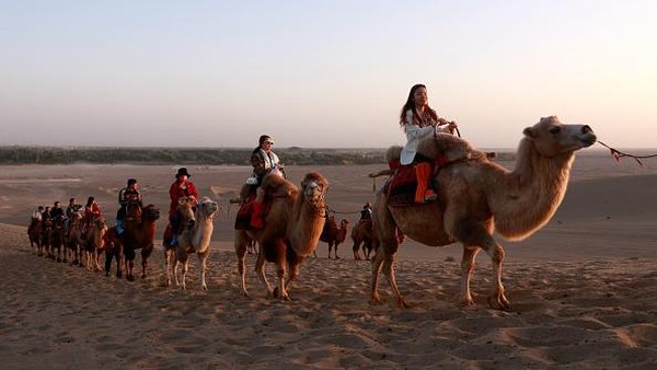 Turis menunggangi unta di gurun pasir Dunhuang, Provinsi Gansu, China, Senin (27/6/2022) waktu setempat.  
