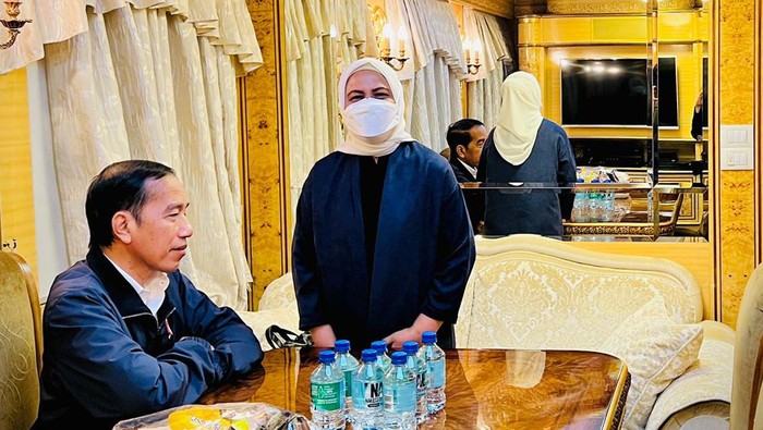 Kunjungan Jokowi ke Ukraina dalam rangka misi perdamaian. Selain Ukraina, Jokowi juga berkunjung ke beberapa negara Eropa lainnya, seperti Jerman dan Rusia.