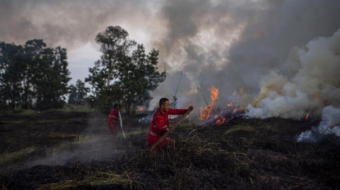 Berjibaku Padamkan Api di Kebakaran Lahan Ogan Ilir, Sumsel Petugas Manggala Agni Daops Banyuasin berusaha memadamkan kebakaran lahan di Desa Sukarame, Pemulutan Barat, Ogan Ilir (OI), Sumatera Selatan, Selasa (28/6/2022). Petugas dari Manggala Agni Daops Banyuasin berhasil memadamkan kebakaran lahan di daerah tersebut. ANTARA FOTO/Nova Wahyudi/aww.