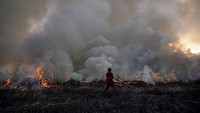 Koordinator Pencegahan Kebakan Hutan dan Lahan (Karhutla) Manggala Agni Daops Sumatera XIV Kabupaten Ogan Ilir dan Banyuasin, Ujang Sultan, mengatakan kebakaran tersebut terjadi sejak Selasa (28/6) siang sekitar pukul 13.00 WIB.   
