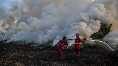 Aksi Damkar Berjibaku Padamkan Kebakaran Lahan di Ogan Ilir