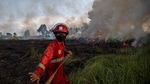 Aksi Damkar Berjibaku Padamkan Kebakaran Lahan di Ogan Ilir