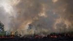 Aksi Damkar Berjibaku Padamkan Kebakaran Lahan di Ogan Ilir