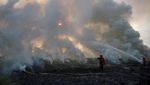 Aksi Damkar Berjibaku Padamkan Kebakaran Lahan di Ogan Ilir