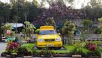 Serunya Main di Lembang Park & Zoo: Kasih Makan Hewan-Berburu Foto