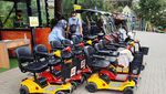 Serunya Main di Lembang Park & Zoo: Kasih Makan Hewan-Berburu Foto