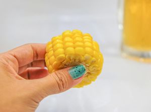 Ada Jagung Impor untuk Pakan Ayam, Peternak Bisa Beli dengan Harga Rp 5.000/Kg