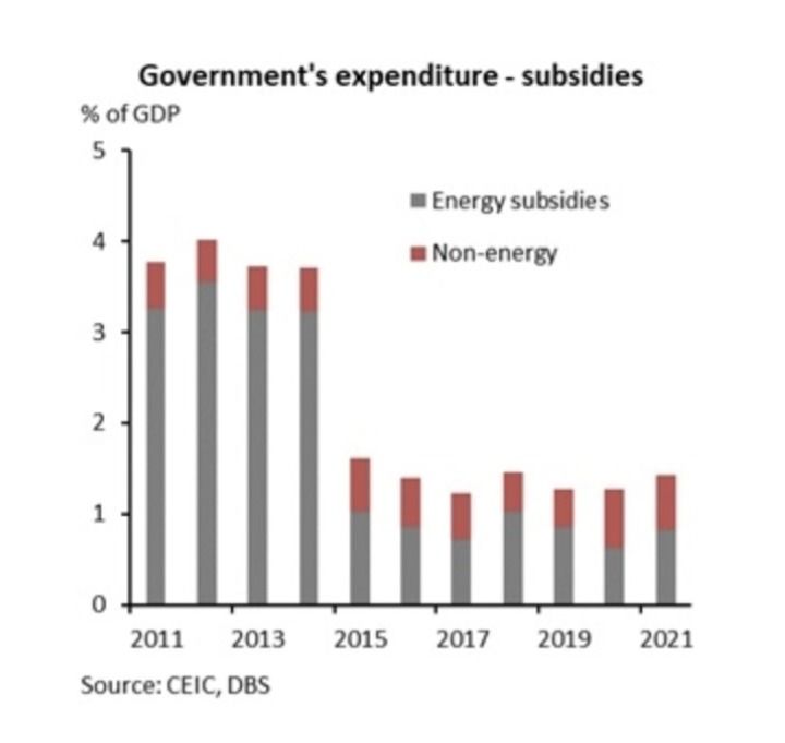 Indonesia Economic Outlook (Dok: DBS) Indonesia Economic Outlook (Dok: DBS)