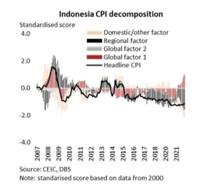 Indonesia Economic Outlook (Dok: DBS) Indonesia Economic Outlook (Dok: DBS)