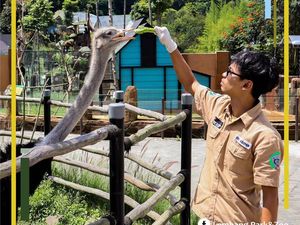 4 Rekomendasi Kebun Binatang di Bandung, Jadi Wisata Edukasi Favorit