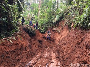 Pembersihan Material Longsor di Jalur TWA Kawah Ijen Capai 80%