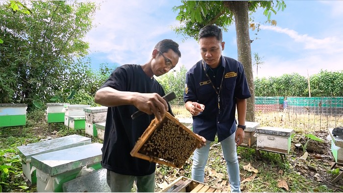 Manfaatkan Shopee, Mantan Pegawai Bank Mampu Jual 3 Ton Madu/Bulan