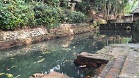 Selain bersejarah, Petirtaan Watugede dikenal memiliki air yang bersih. Itu karena air yang memenuhi kolam berasal dari mata air yang konon tak pernah kering. Foto: Putu Intan/detikcom