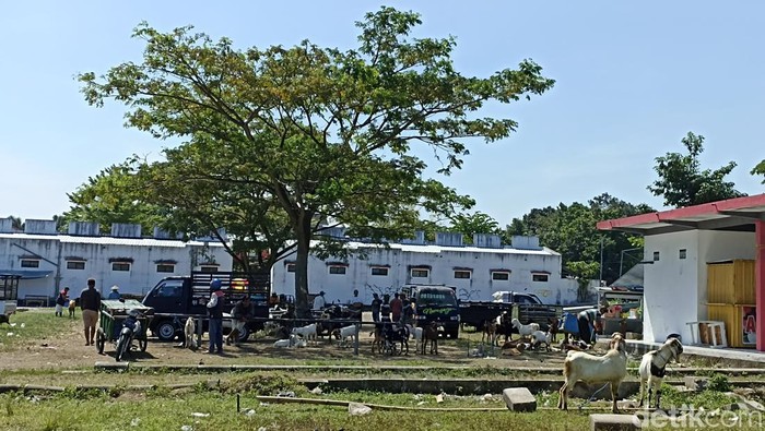 pmk di blitar