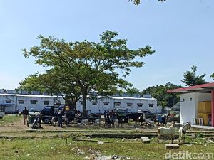 Curhat Pedagang Kambing di Blitar Imbas PMK: Pembeli Sepi-Pendapatan Turun