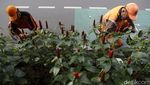 Separator Jalan Melawai Dipercantik