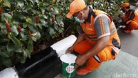 Sejumlah petugas dari Penanganan Prasarana dan Sarana Umum (PPSU) Kelurahan Melawai mengecat separator di Jalan