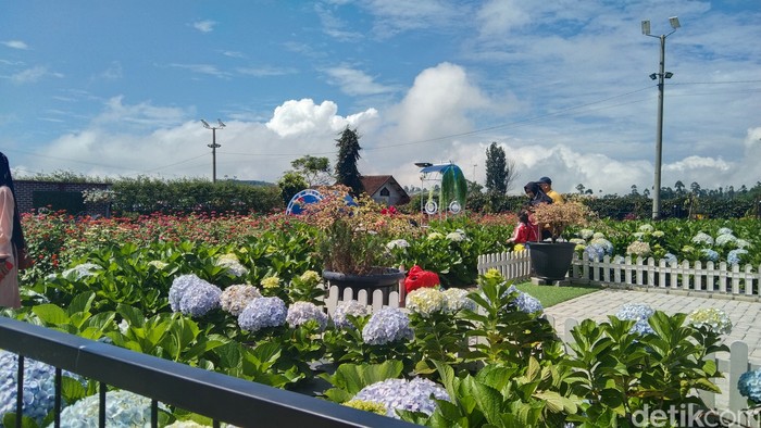 Taman Bunga Bee Park, Majalengka.