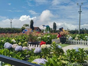 Taman Bunga Bee Park Majalengka, Cocok untuk Isi Libur Sekolah