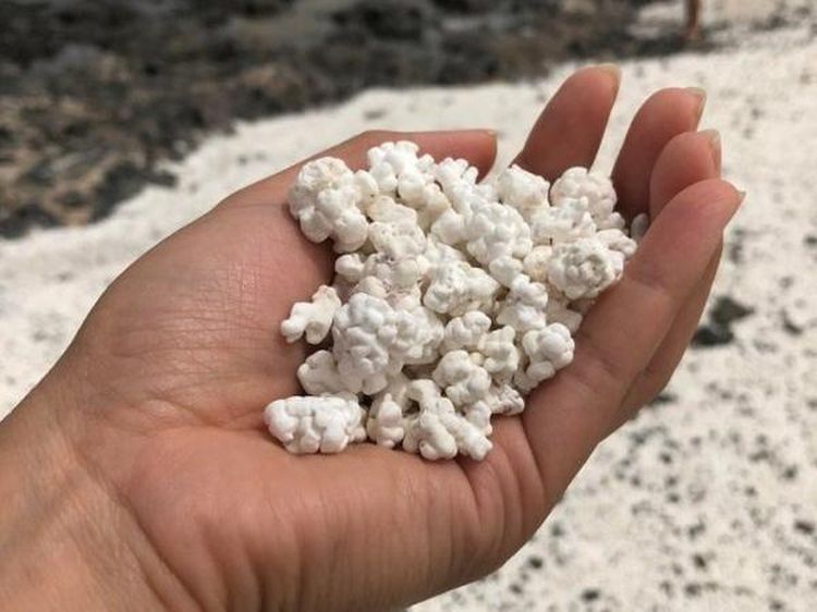 Tampak Enak dan Bikin Lapar, 10 Benda Ini Ternyata Bukan Makanan!