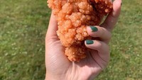 Sekilas batu kristal ini tampak seperti potongan fried chicken yang ada di restoran cepat saji. Tak heran banyak orang yang penasaran ingin mencobanya. Foto: Site News/Pool