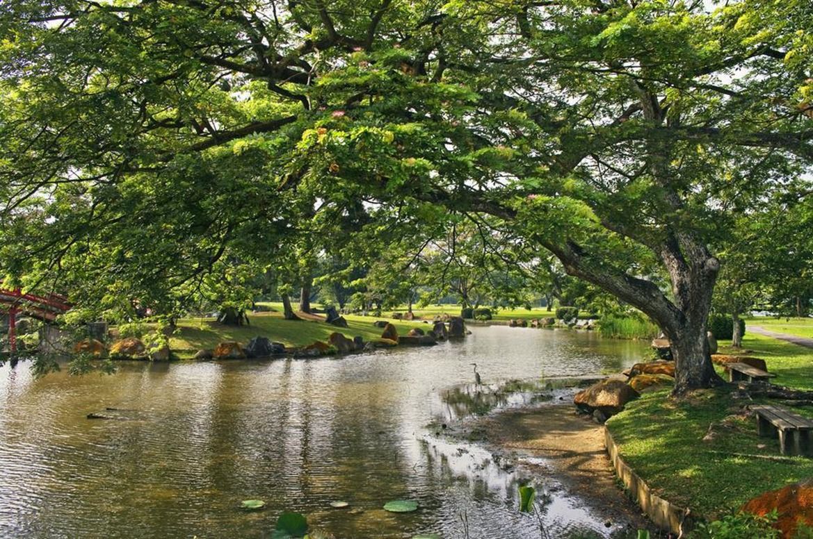 Tempat Wisata di Singapura Cocok untuk Healing