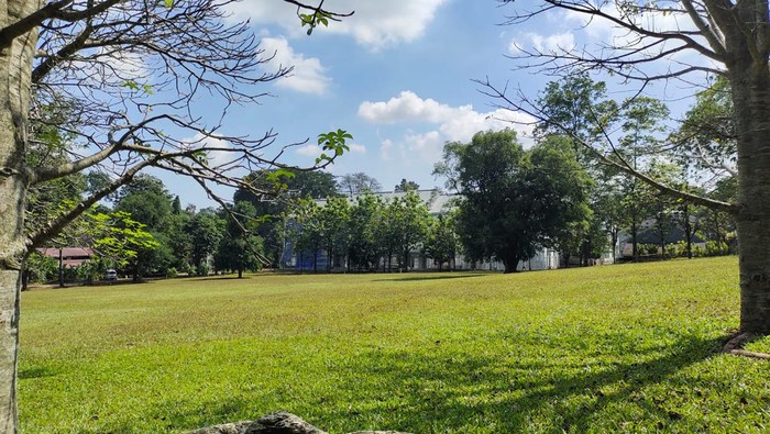 Viral rumput di Kebun Raya Bogor rusak usai konser musik