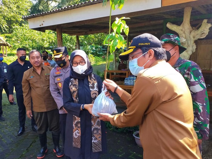 7.600 Pohon Ditanam di Jalur Ijen Banyuwangi