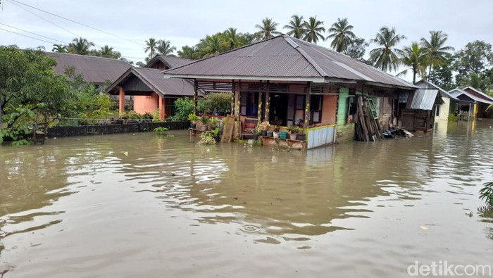 Rumah warga di Bengkulu terendam banjir. (Hery Supandi/detikSumut)