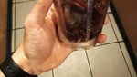 10 Kedai Kopi Ini Punya Pernak-pernik Unik, Ini Fungsinya!