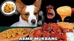 Bukan Manusia, 10 Binatang Ini Sukses Jadi Bintang Mukbang dan ASMR