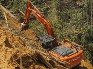 Perambah Taman Nasional Ditangkap, Gubri Minta Tindak Tegas Pelaku