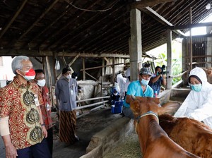 Tangani PMK di Jateng, Ganjar Buat Gerakan Jogo Ternak & Bolo Ternak