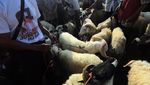 Jelang Idul Adha, Pasar Hewan Jonggol Ramai Banget