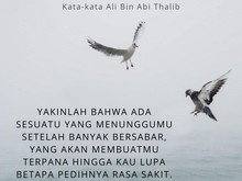 25 Kata-kata Ali bin Abi Thalib Tentang Jodoh yang Inspiratif, Bikin Tenang