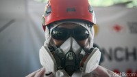 Wabah PMK pada hewan ternak disebabkan oleh virus yang sangat mudah menular antar ternak dan terutama menyerang ternak/hewan berkuku belah.