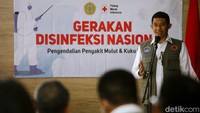 Proses penularan dapat melalui kontak langsung dan angin, tetapi penyakit ini tidak menular ke manusia (bukan zoonosis).